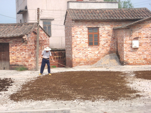 Grandfather is drying loom/fertilizer.